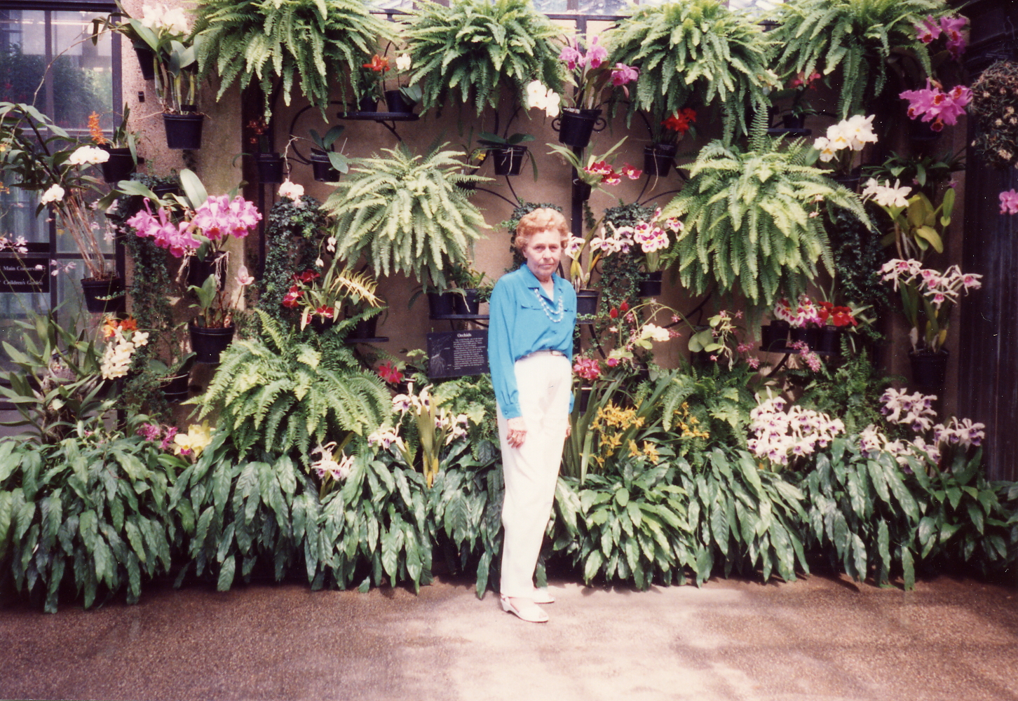 Image 34